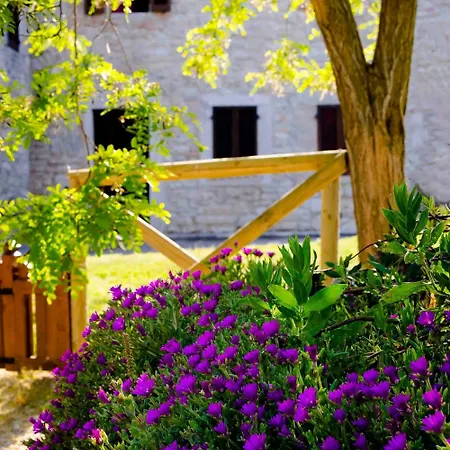 Castello Di Titignano אורביאטו