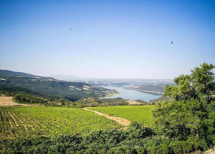 Castello Di Titignano